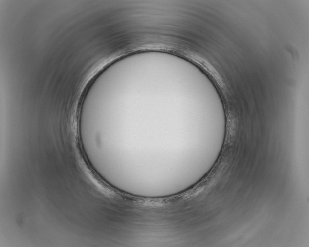 X0000112480890200908171010