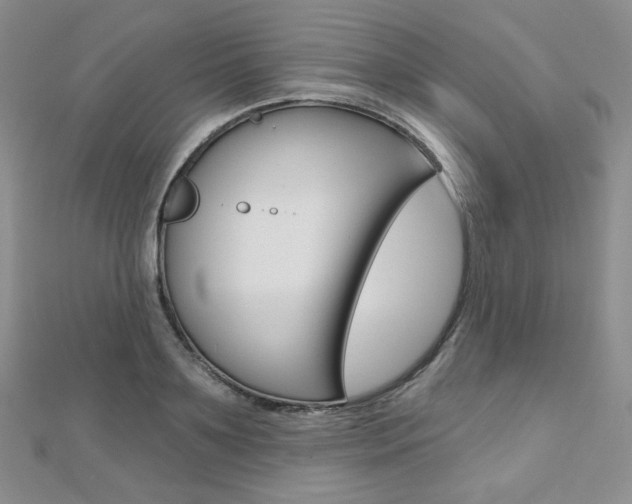 X0000112480891200908171010