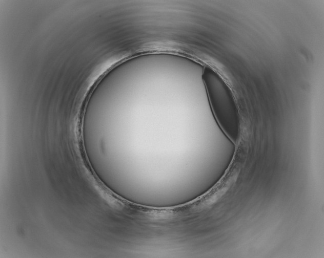 X0000112480893200908171010