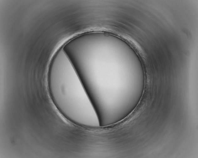 X0000112480894200908171010