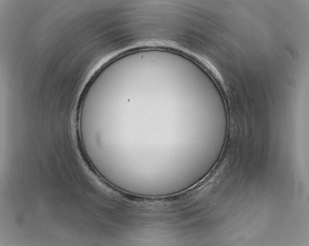 X0000112480895200908171010