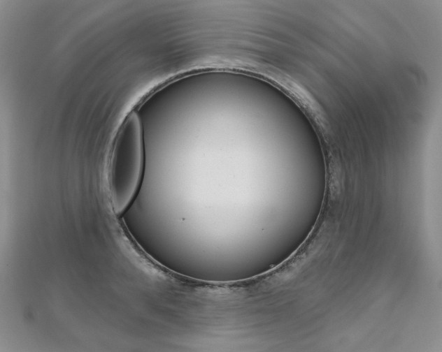 X0000112480896200908171010