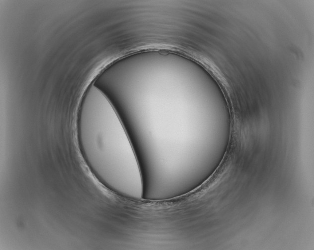 X0000112480898200908171010