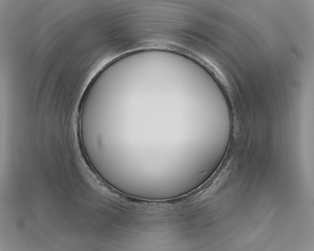 X0000112480899200908171010