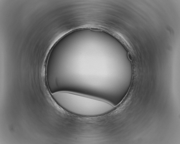 X0000112480900200908171010