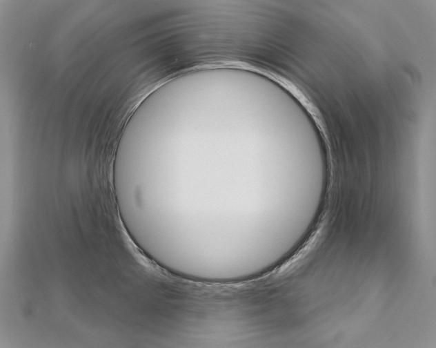 X0000112480905200908171009