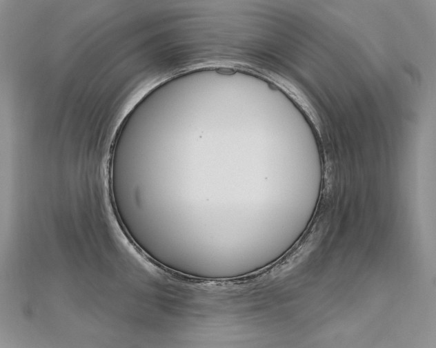 X0000112480906200908171009