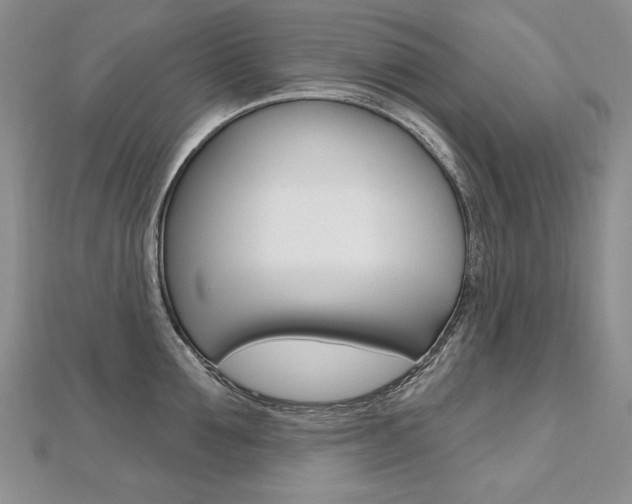 X0000112480907200908171009