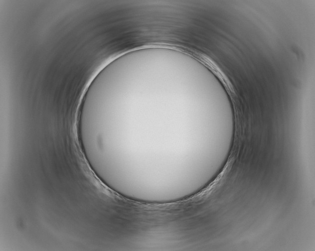 X0000112480908200908171009