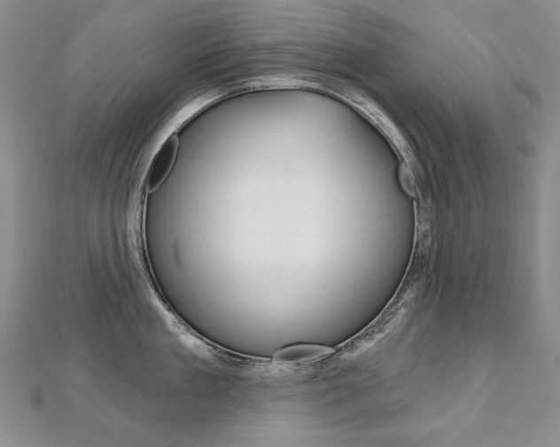 X0000112480909200908171009