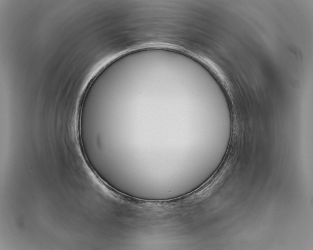 X0000112480910200908171009