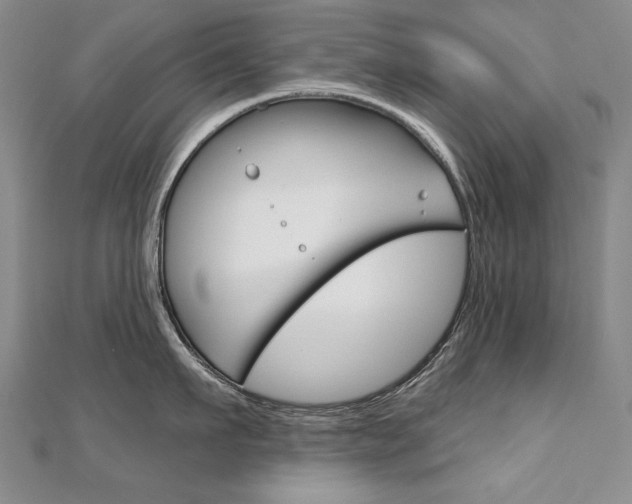 X0000112480911200908171009