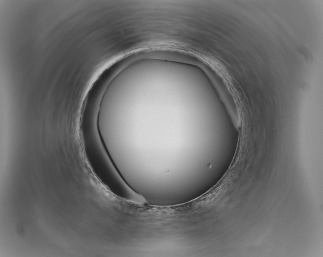 X0000112480912200908171009