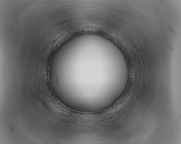 X0000112480916200908171009