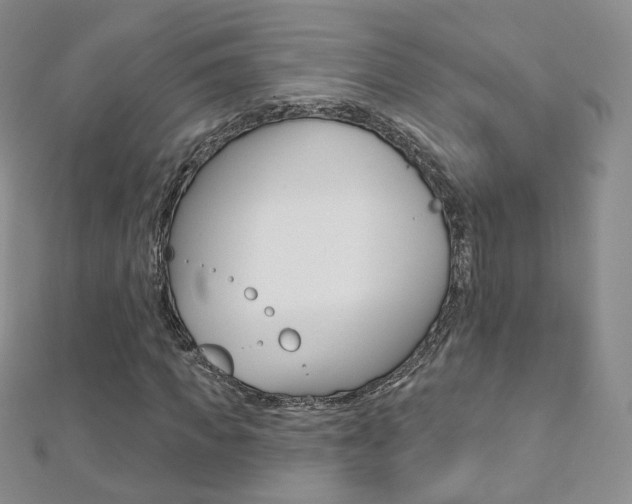 X0000112480917200908171009
