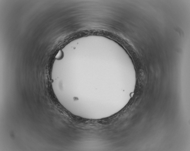 X0000112480918200908171009