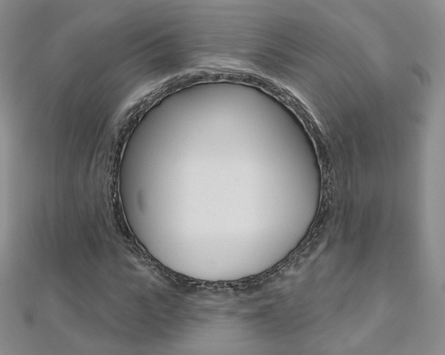 X0000112480919200908171009