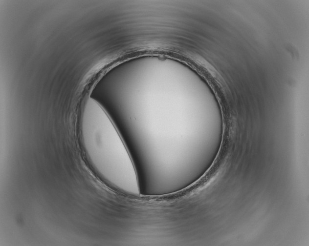 X0000112480922200908171009