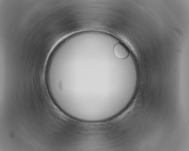 X0000112480924200908171009