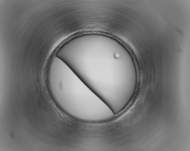 X0000112480925200908171009