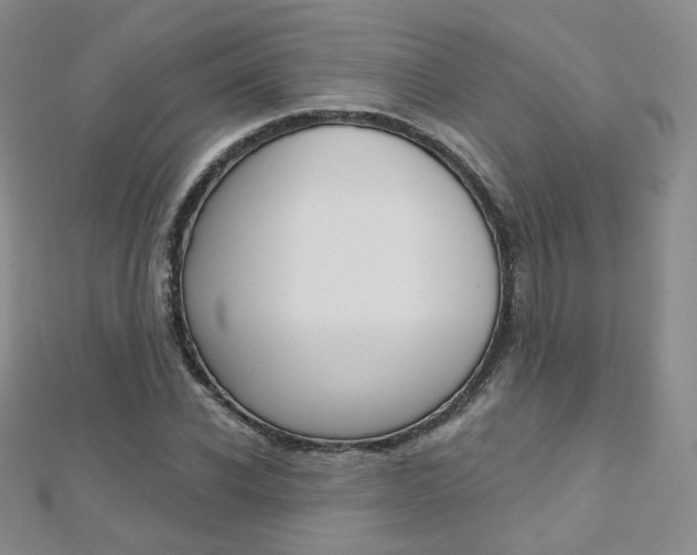 X0000112480926200908171009