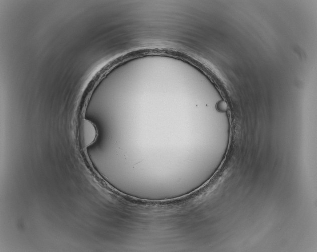 X0000112480927200908171009