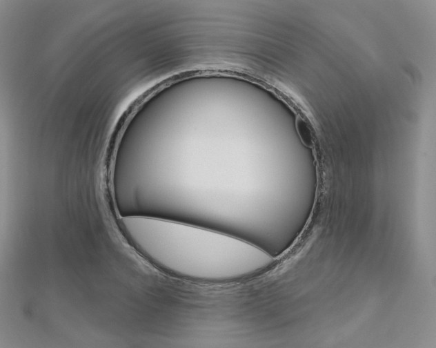 X0000112480928200908171009
