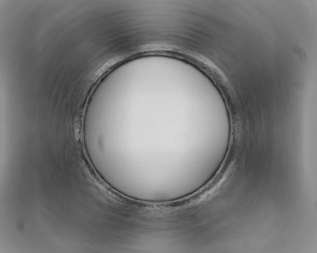 X0000112480929200908171009