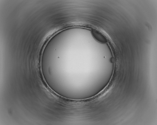 X0000112480930200908171009