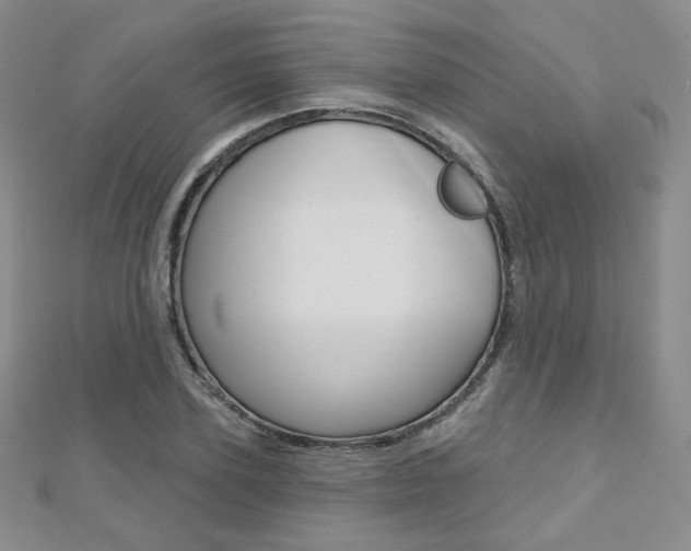 X0000112480931200908171009