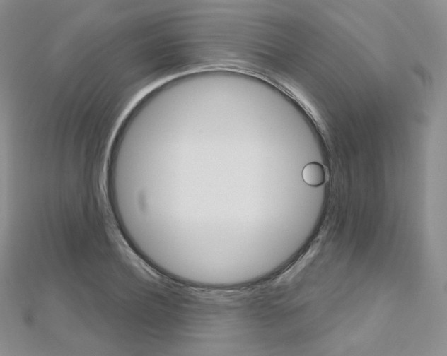 X0000112480932200908171009