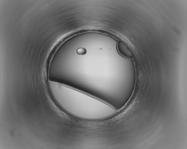 X0000112480934200908171009