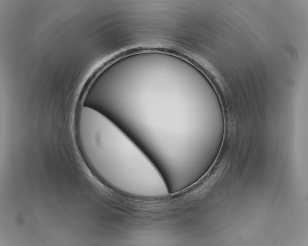 X0000112480935200908171009