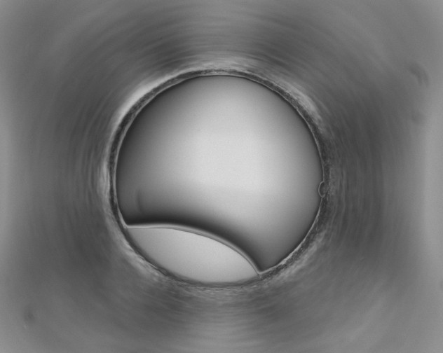 X0000112480936200908171009