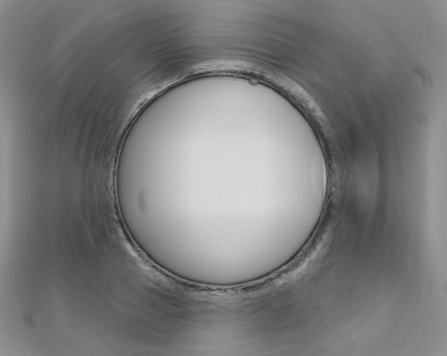 X0000112480937200908171009