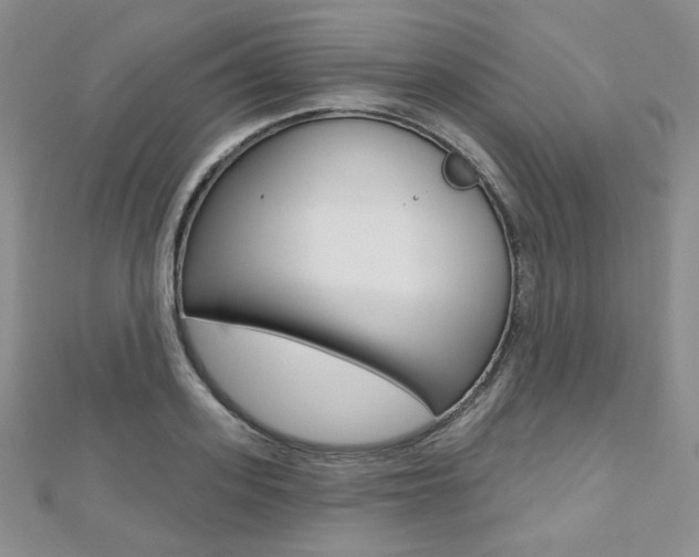 X0000112480939200908171009