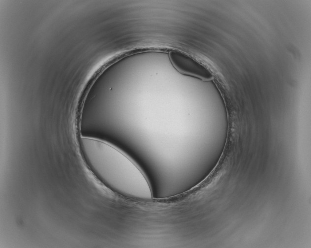 X0000112480942200908171009