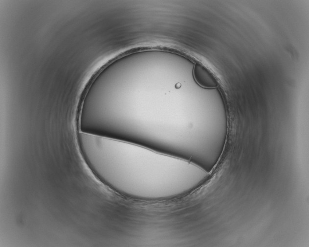 X0000112480943200908171009