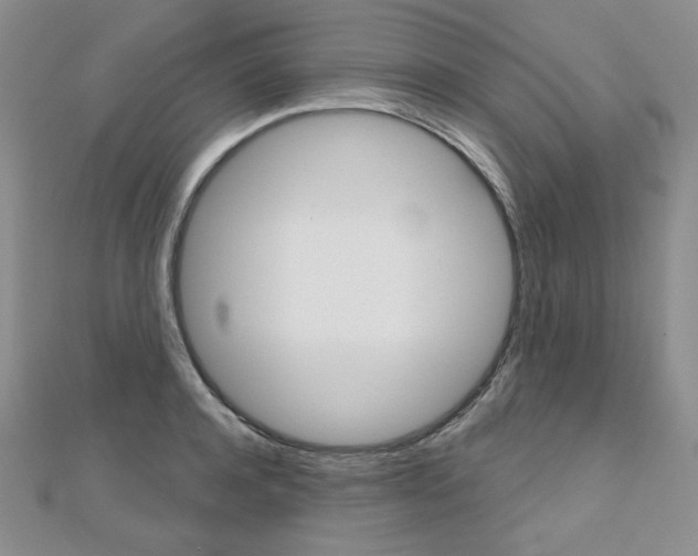 X0000112480944200908171009