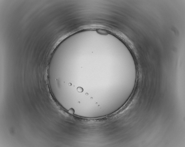 X0000112480945200908171009