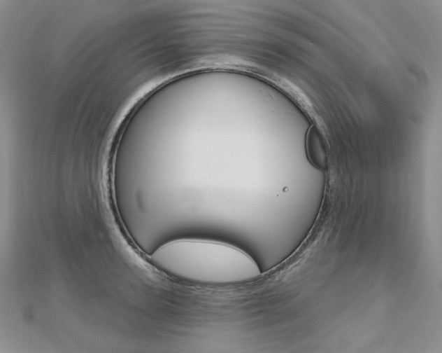 X0000112480947200908171009