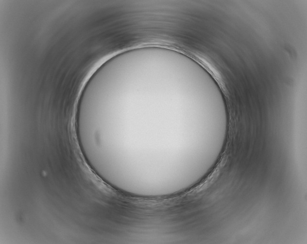 X0000112480948200908171009