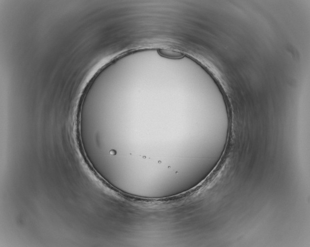 X0000112480949200908171009