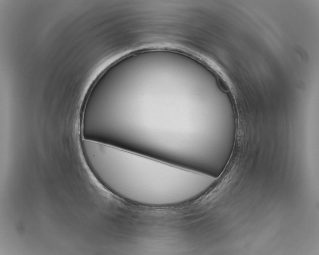 X0000112480951200908171009
