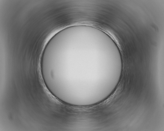 X0000112480952200908171009