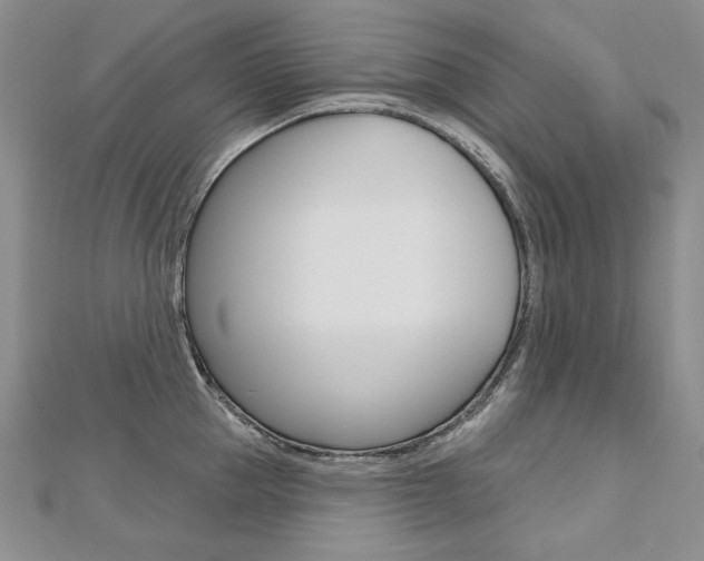X0000112480953200908171009
