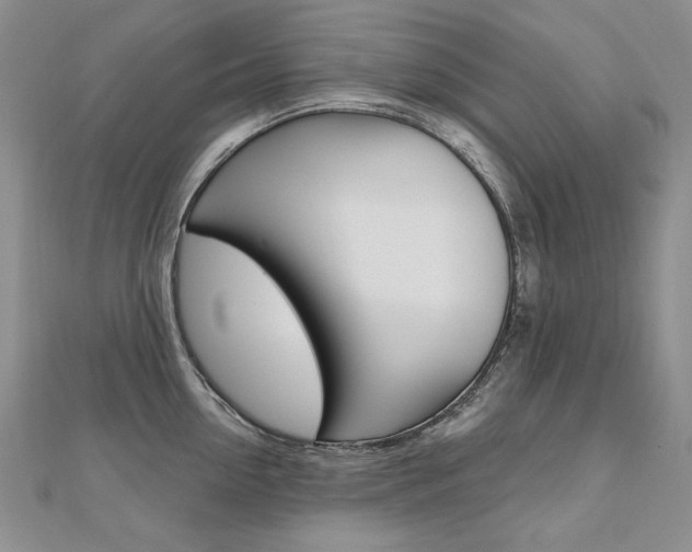 X0000112480954200908171009