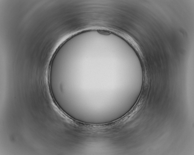 X0000112480958200908171009