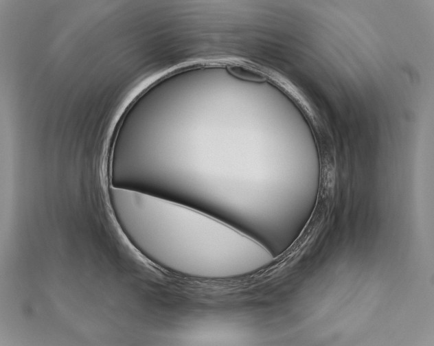 X0000112480959200908171009