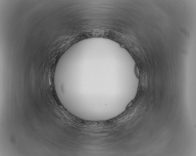 X0000112480962200908171009